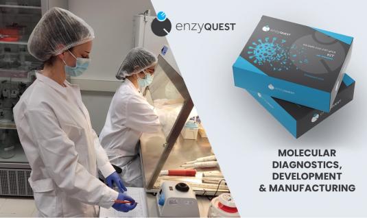 Enzyquest
